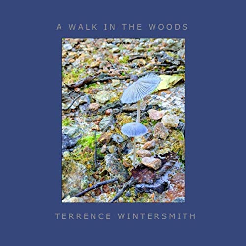 terrance-wintersmith-cd